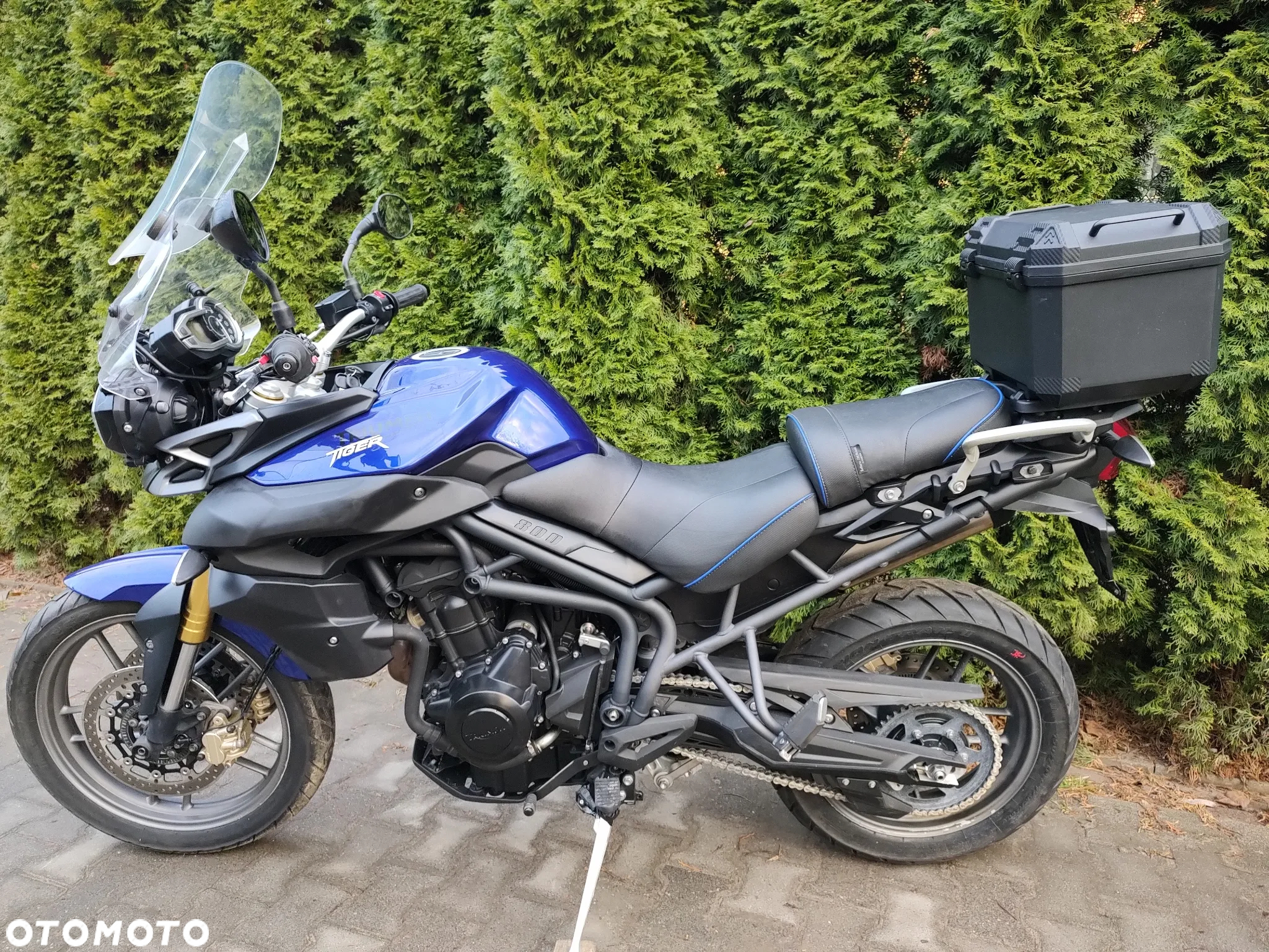 Triumph Tiger - 9