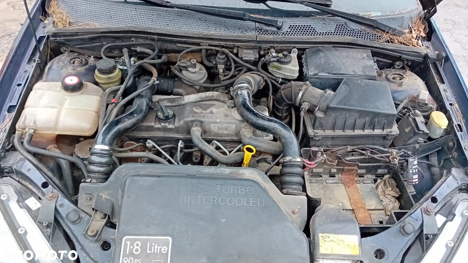 Tylko Części FORD FOCUS MK1 1.8 TDDI 90KM 66kW KOMBI 5D 98r–01r Lakier H8 - 10