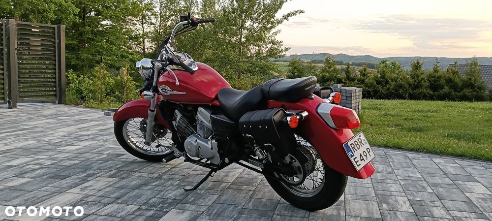 Honda Shadow - 5