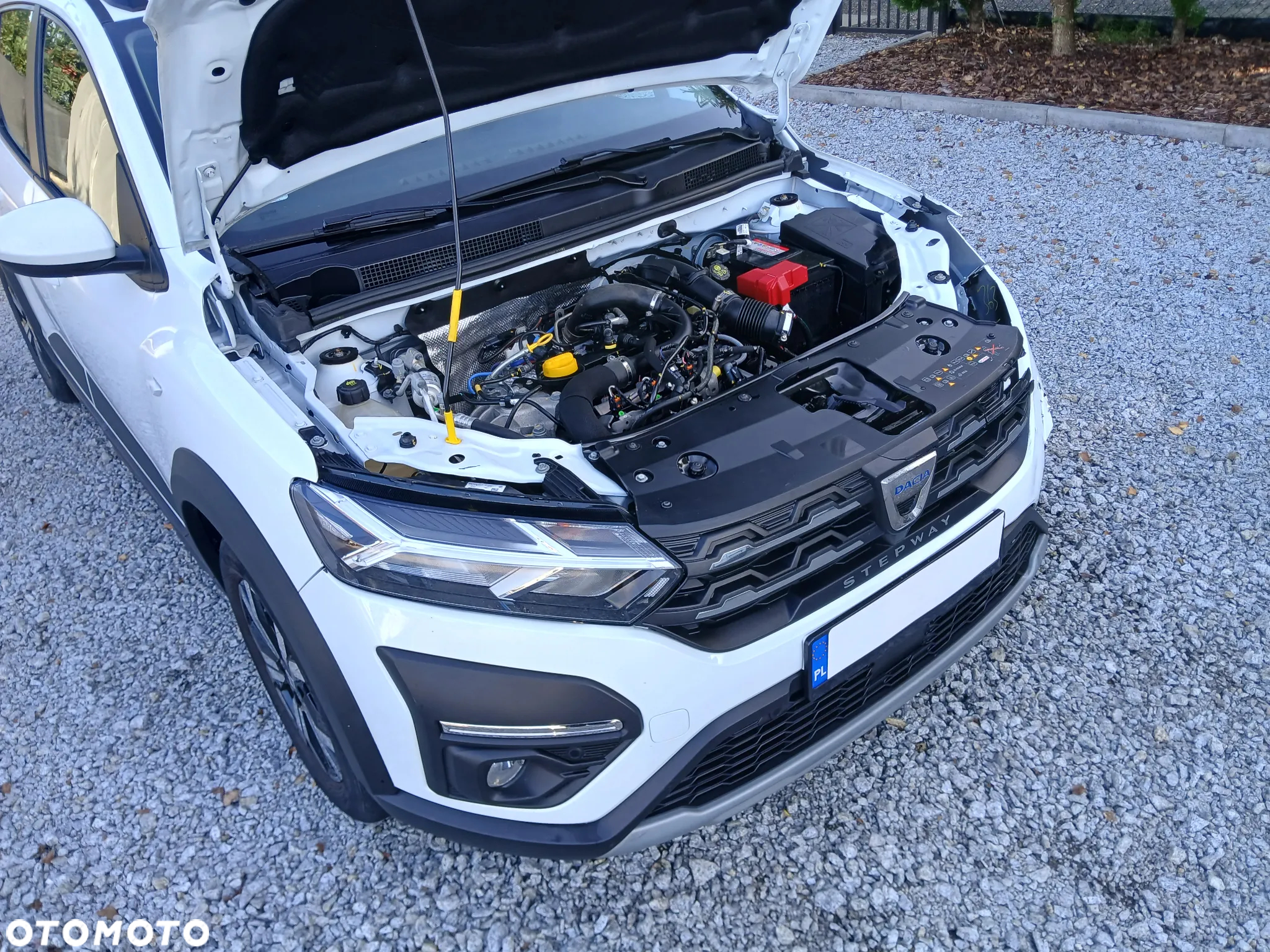Dacia Sandero Stepway 1.0 TCe SL Celebration S&S - 10