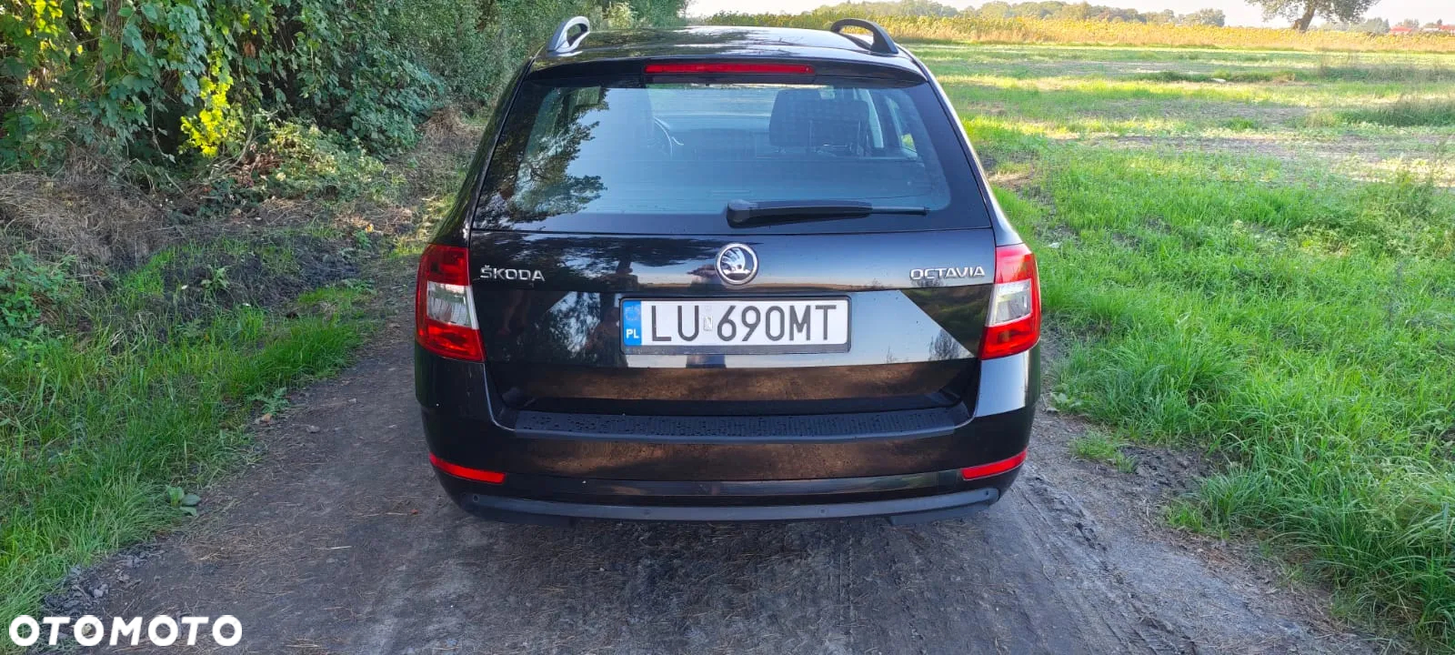 Skoda Octavia - 4