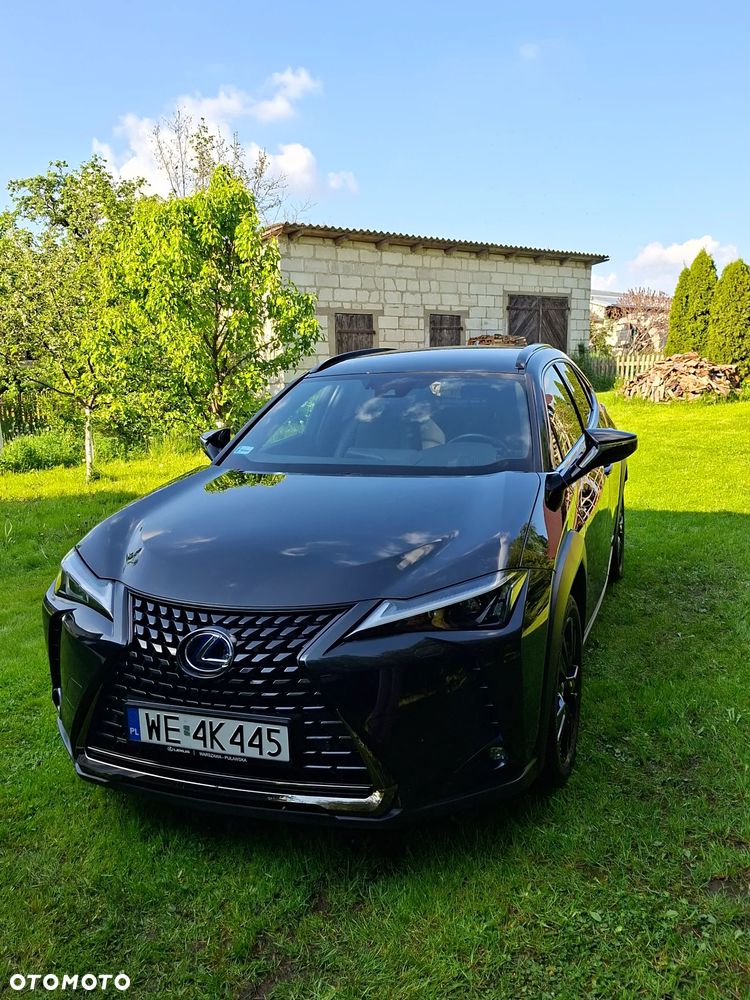 Lexus UX - 1