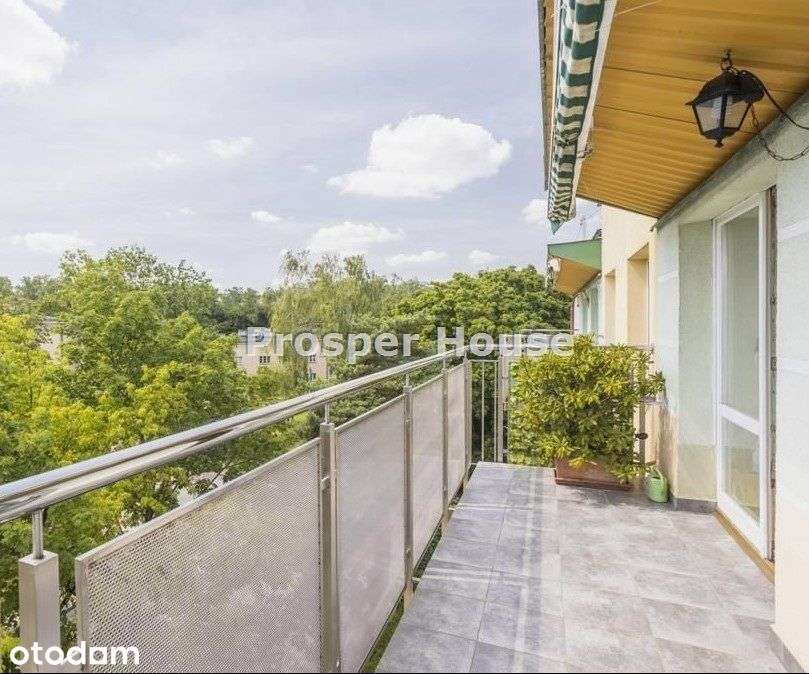 Penthouse, blisko Wat, las