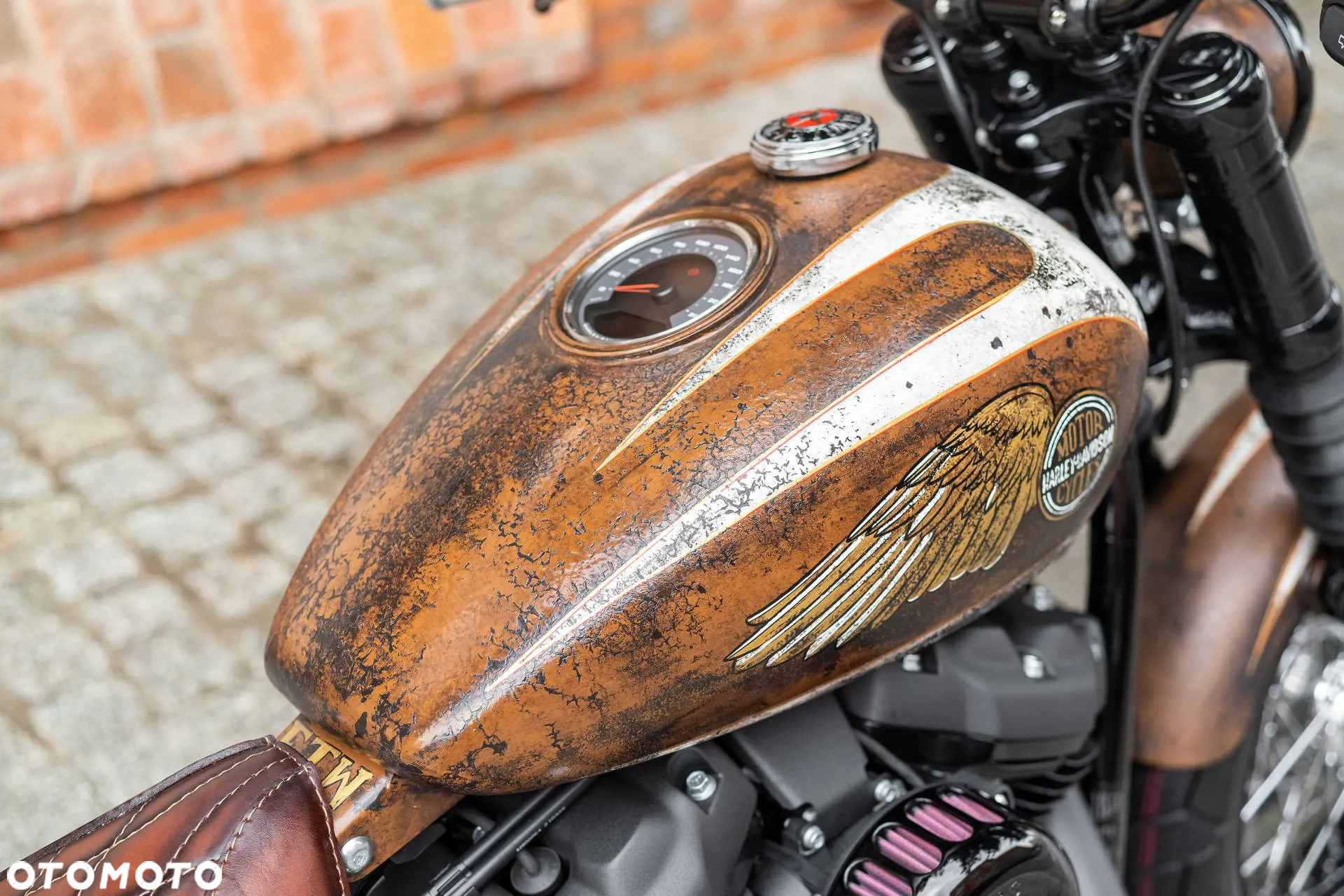 Harley-Davidson Softail - 16