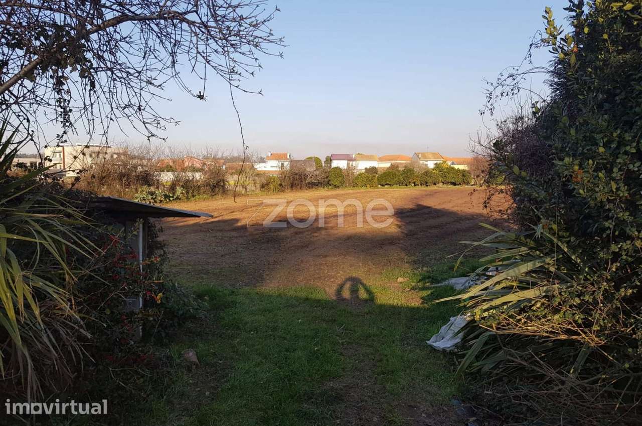 Terreno para Investimento em Lavra, Matosinhos - Grande imagem: 5/20