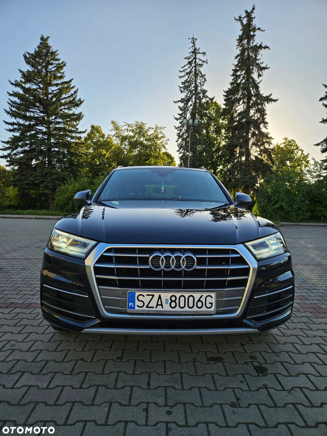 Audi Q5 35 TDI S tronic S line business - 2