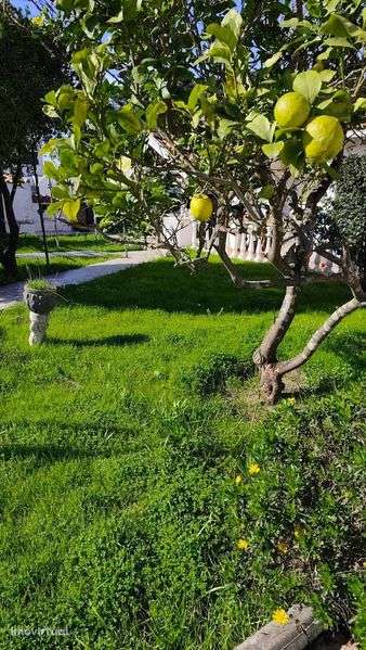 Moradia - Lagoa de Albufeira - Grande imagem: 2/2