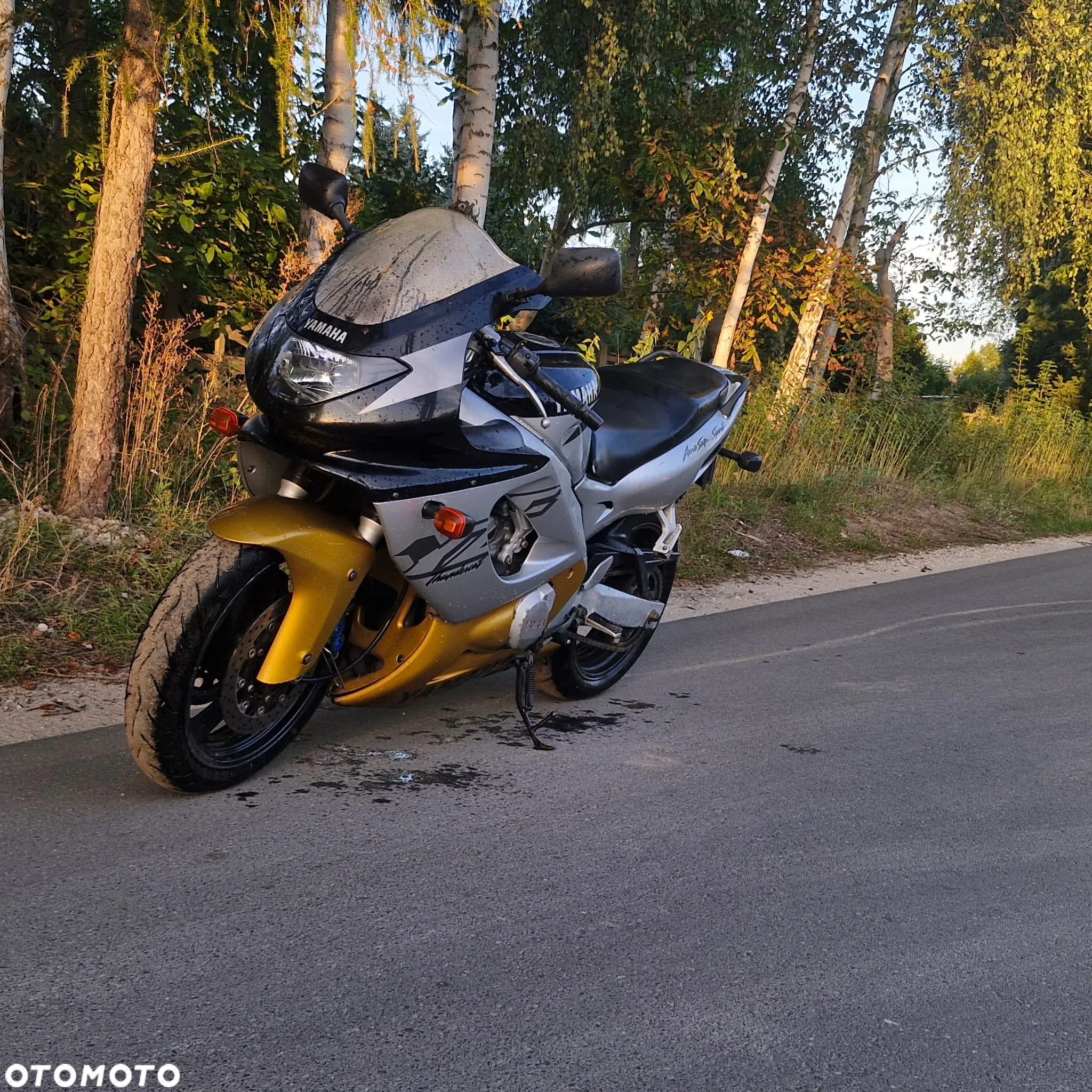 Yamaha YZF - 3