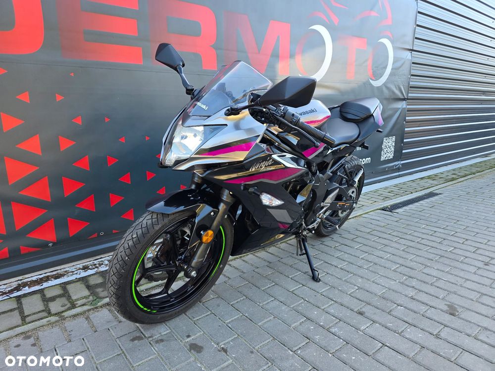 Kawasaki Ninja - 4