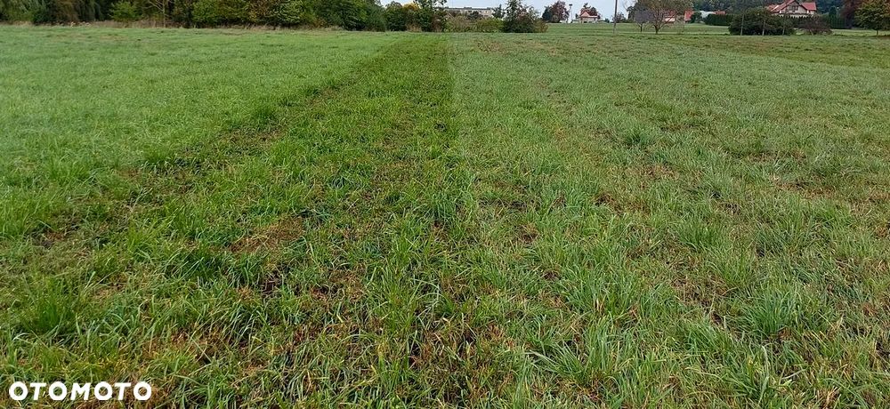 Inny CARRE Prairial 3m - 15