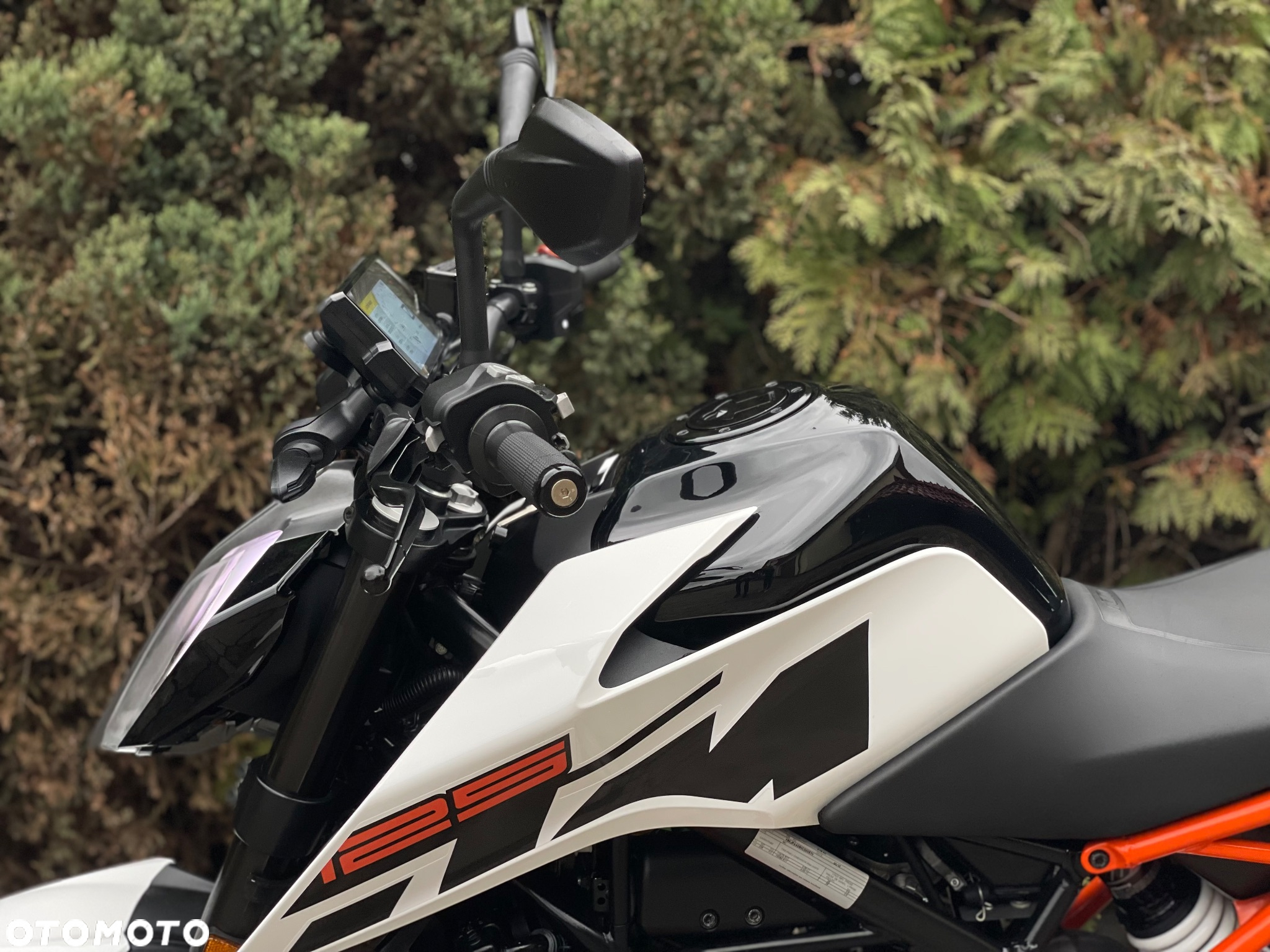 KTM Duke - 27