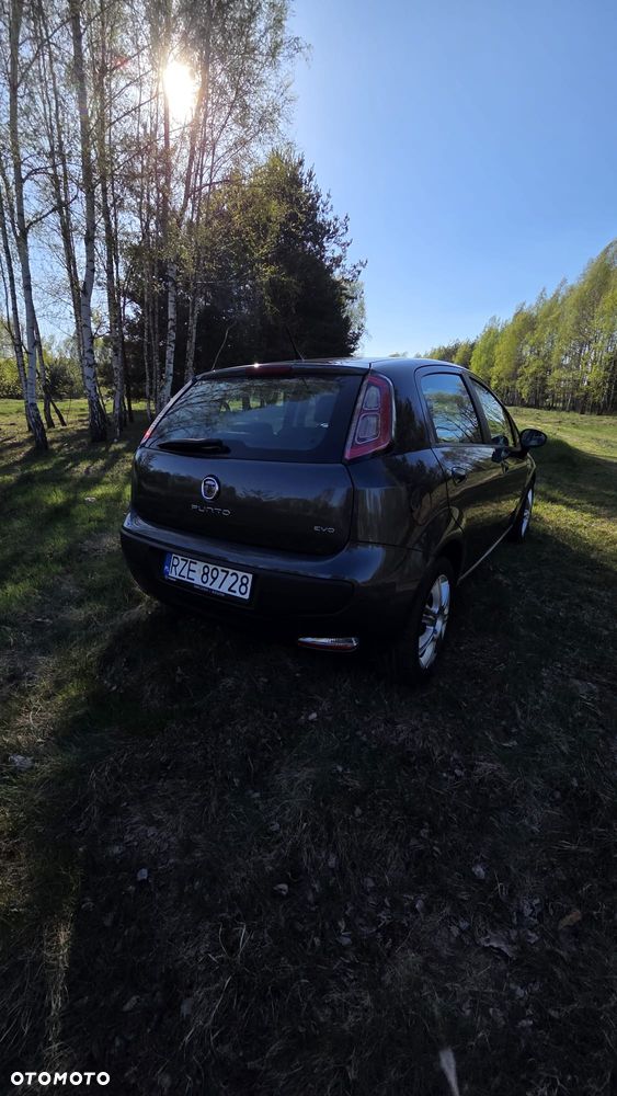 Fiat Punto - 3
