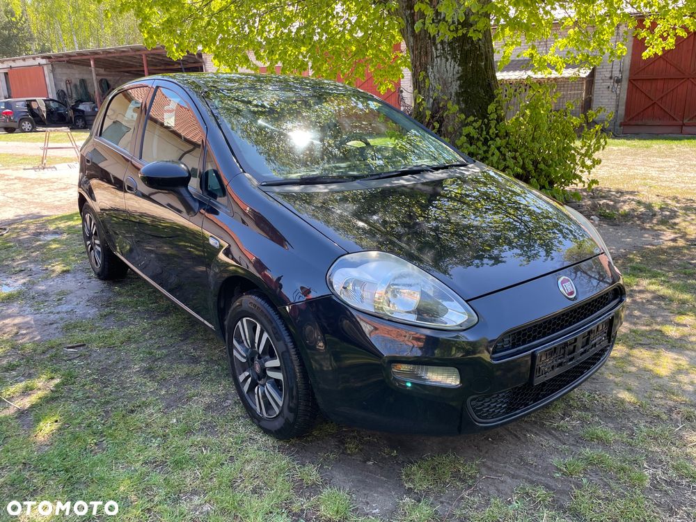 Fiat Punto 1.2 Easy - 1