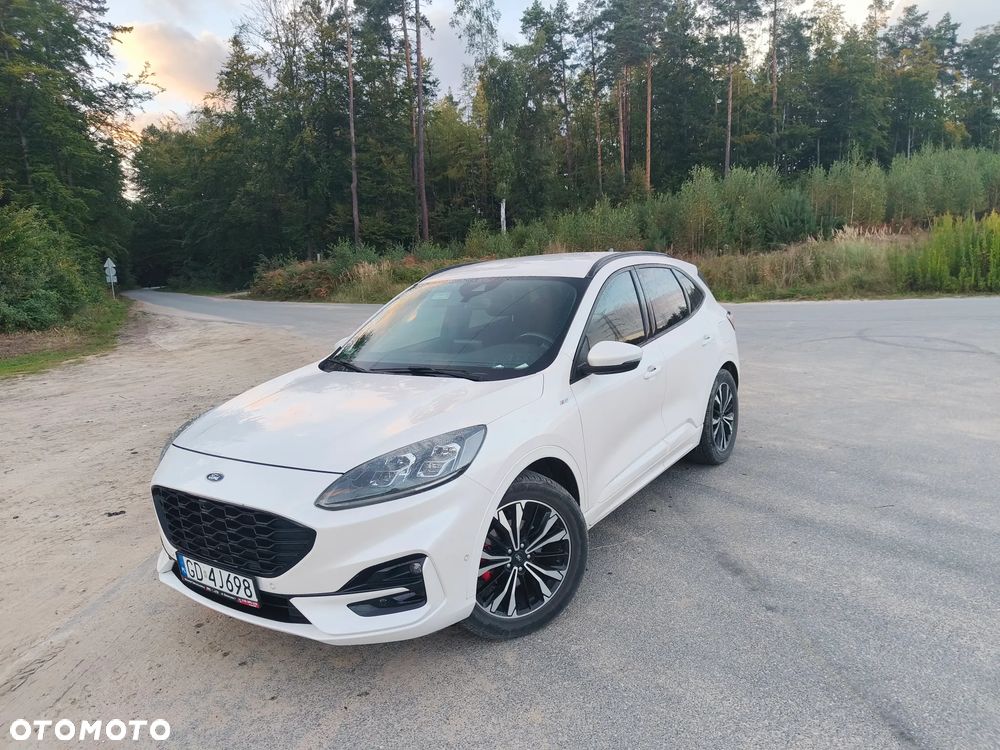 Ford Kuga 2020 photo 2