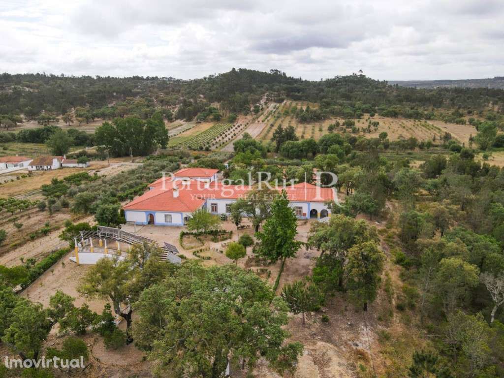Quinta de 7,5ha com casa T11 de arquitetura ribatejana - Grande imagem: 4/60