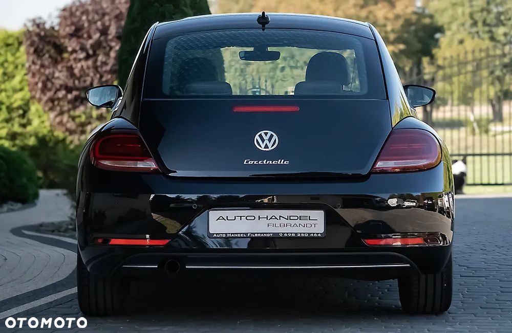 Volkswagen Beetle - 8