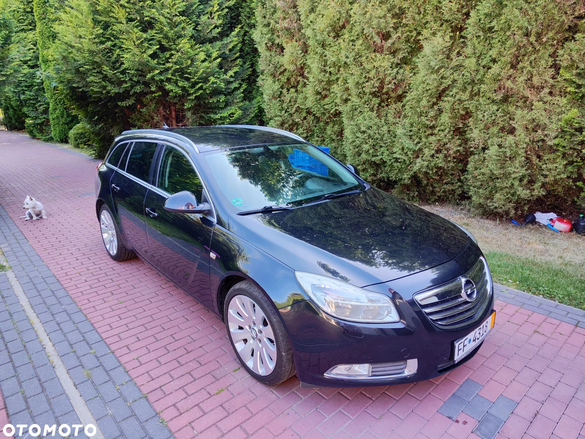 Opel Insignia 1.8 Sports Tourer - 9