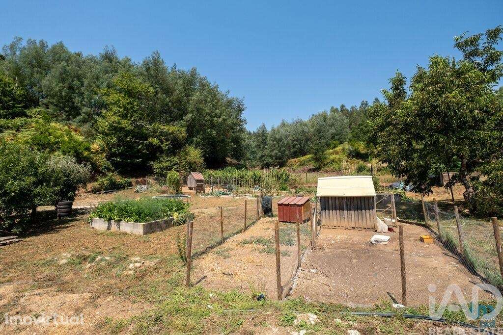 Casa / Villa T2 em Côja e Barril de Alva de 238,00 m2 - Grande imagem: 5/23