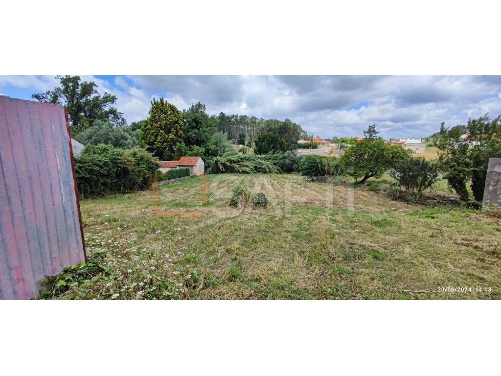 Terreno 1676m2-Vale do Horto- LEIRIA - Grande imagem: 4/12