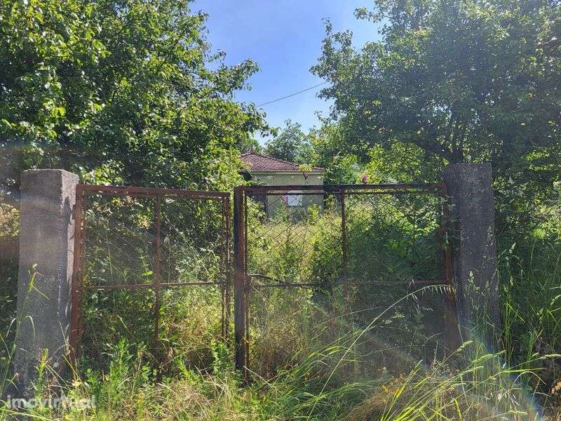 Terreno com 2 ruínas em Mazedo - Grande imagem: 3/4