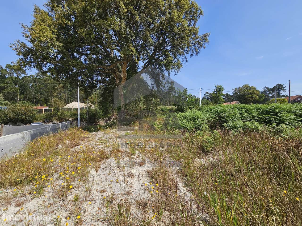 Terreno para Construção em Antas, Esposende - Grande imagem: 4/4