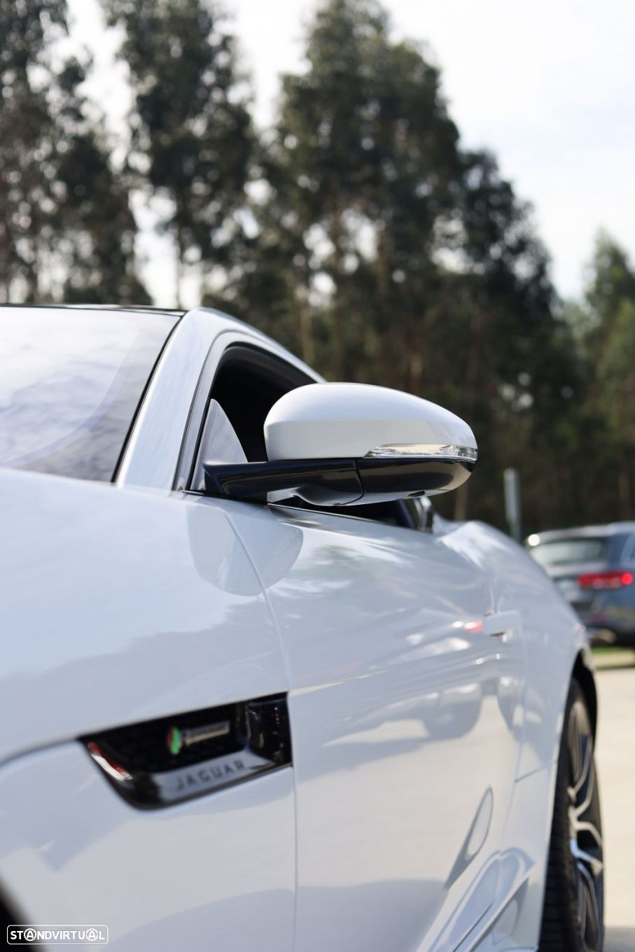 Jaguar F-Type 2.0 i4 R-Dynamic - 43