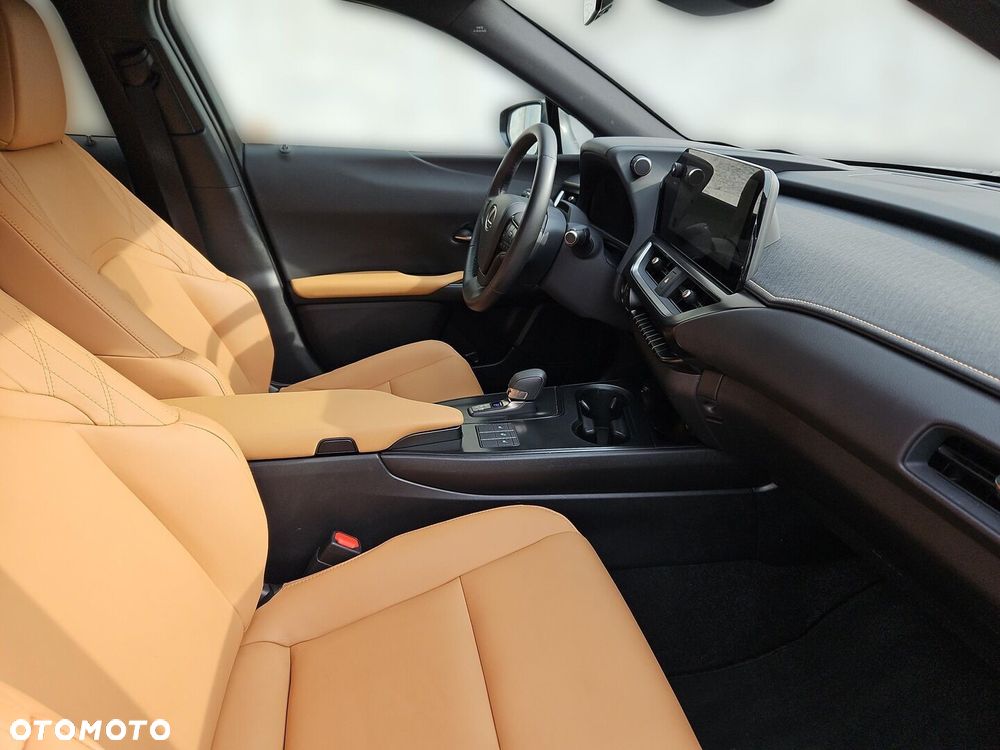 Lexus UX 300h F Sport Design - 22