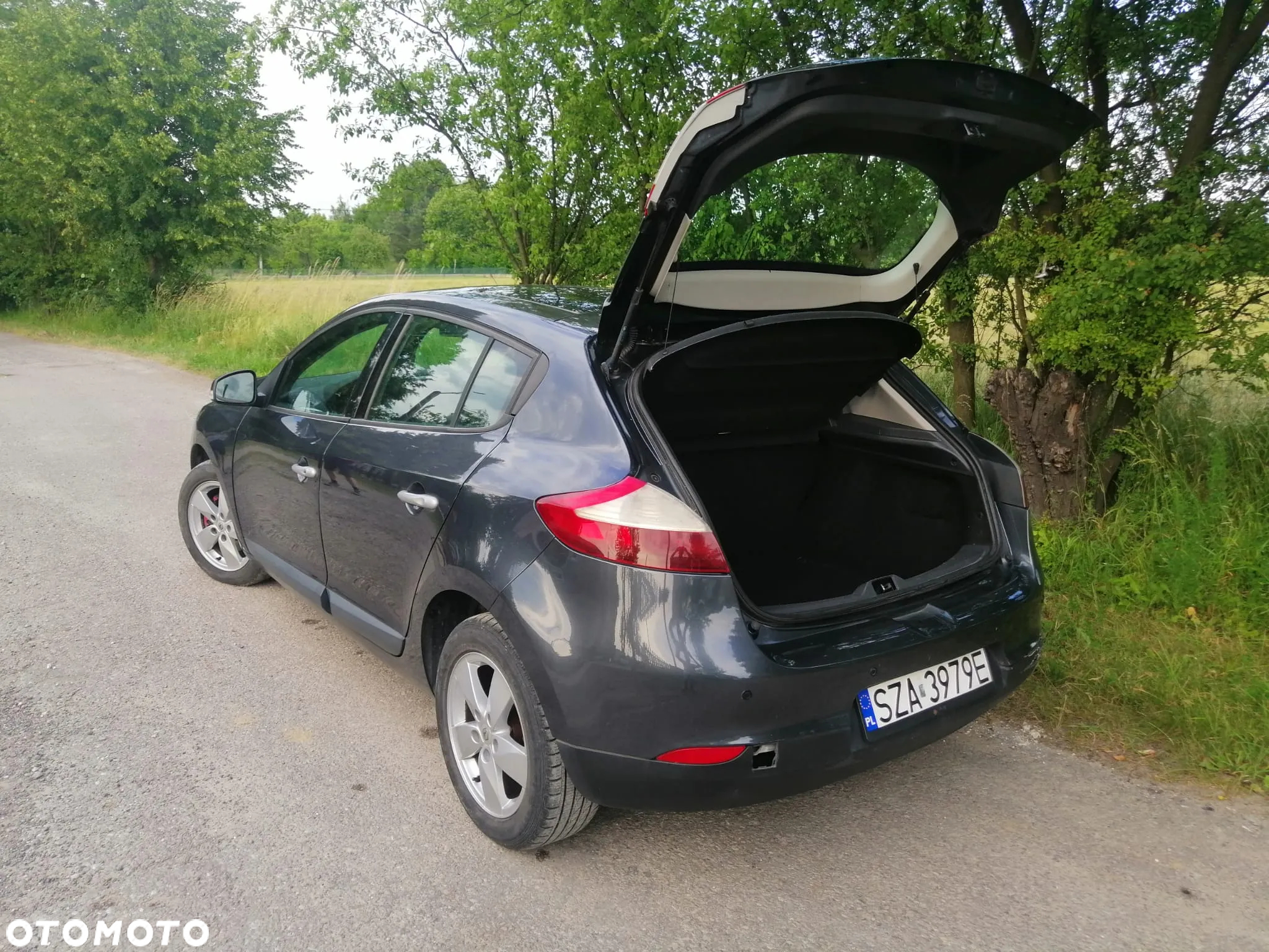 Renault Megane - 31