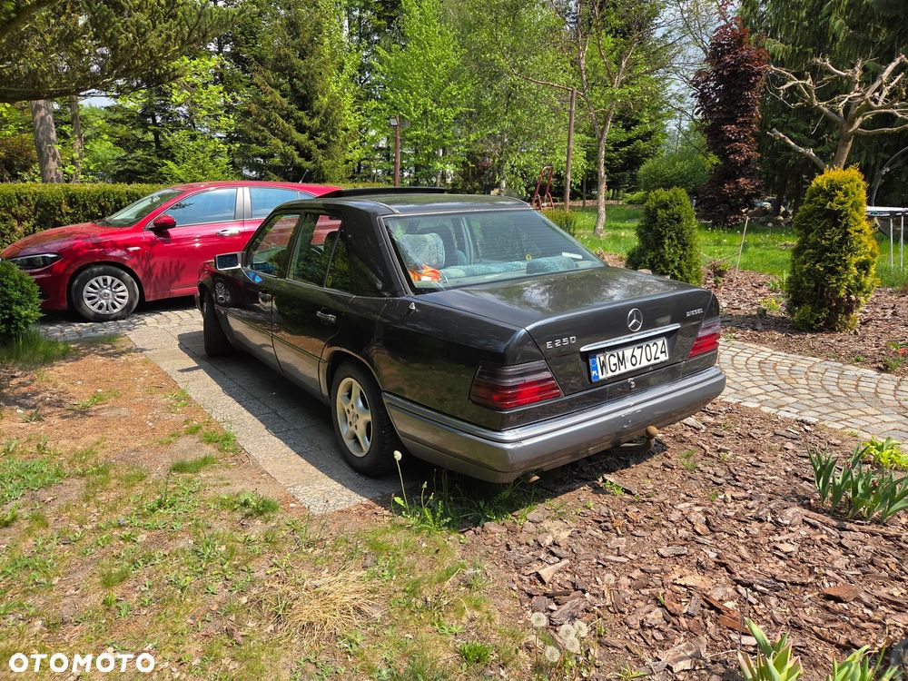 Mercedes-Benz W124 (1984-1993) - 5