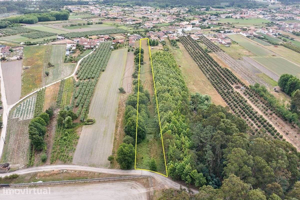 Terreno  para venda - Grande imagem: 2/8