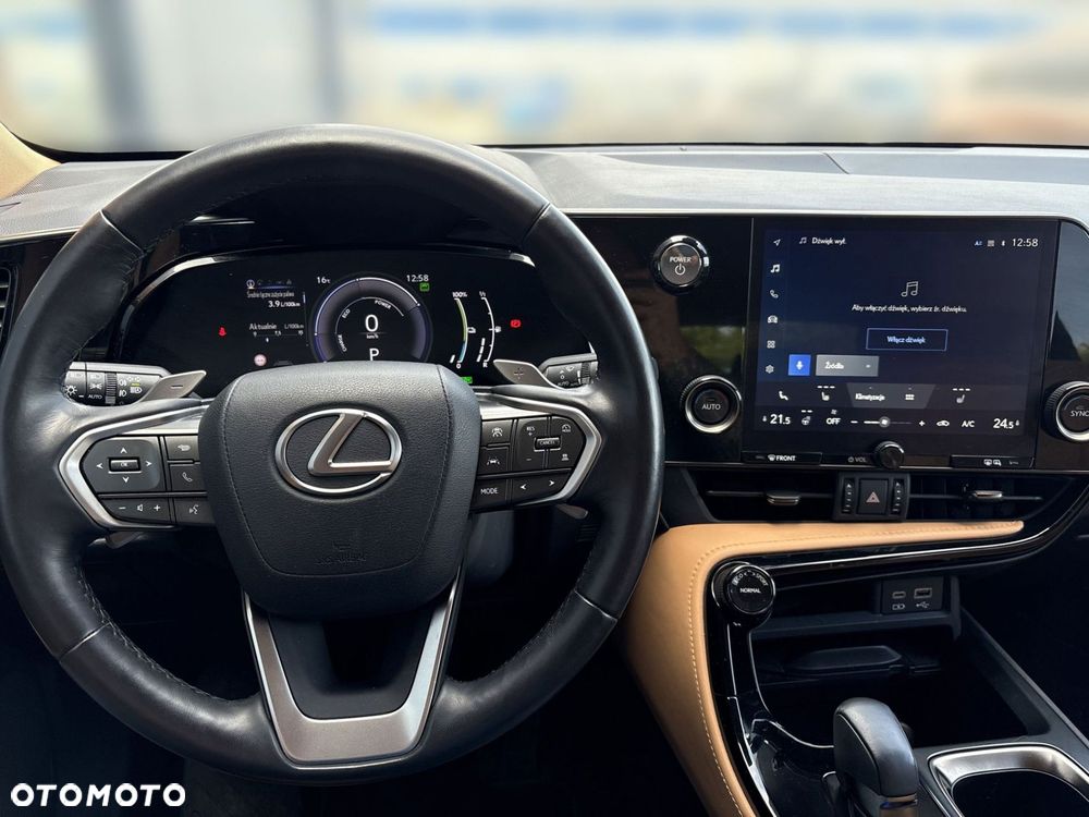 Lexus NX - 13