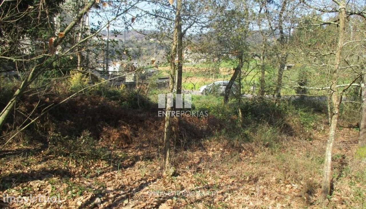 Venda Terreno, Melres, Gondomar - Grande imagem: 5/7