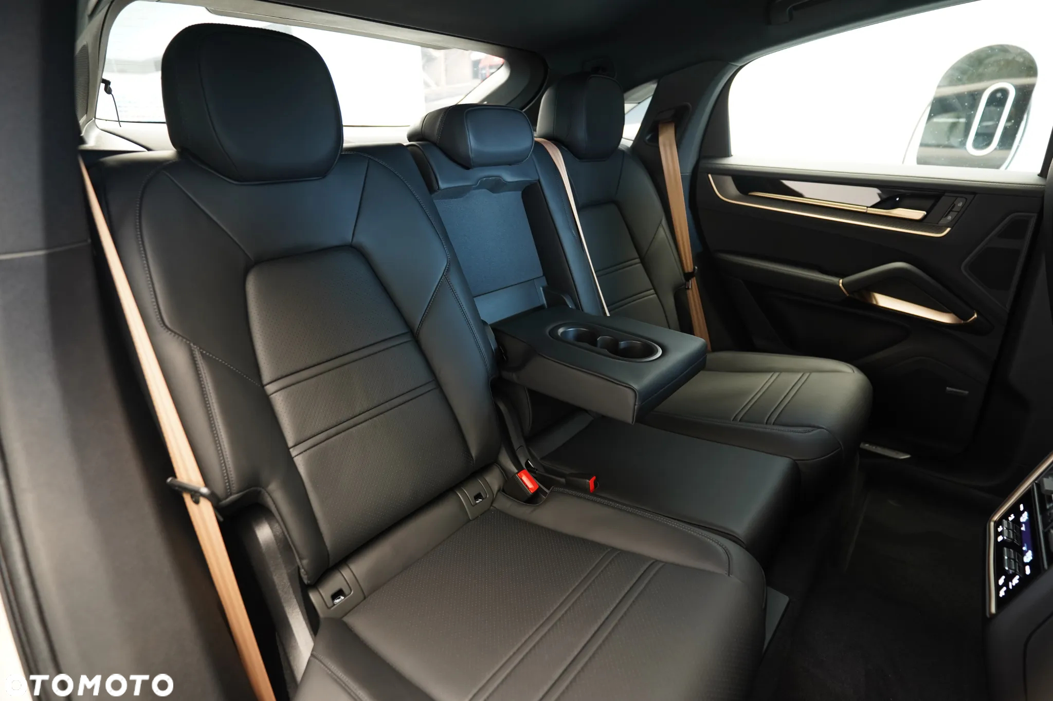 Porsche Cayenne Coupe S E-Hybrid PHEV - 12