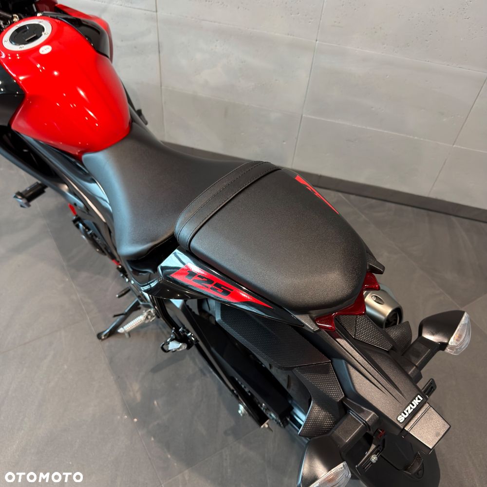 Suzuki GSX - 13