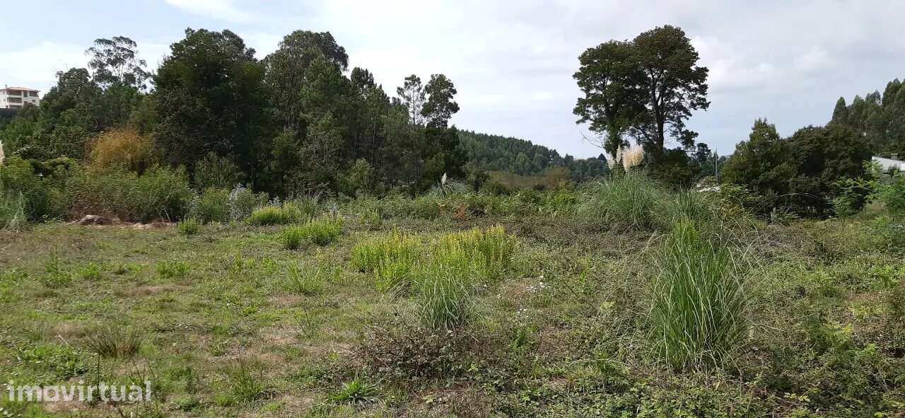 Terreno para construção em Bustelo, São Roque - Grande imagem: 4/4