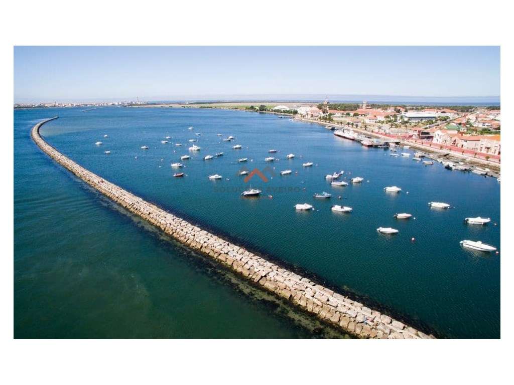 Lote de terreno em São Jacinto junto á Ria! - Grande imagem: 3/5