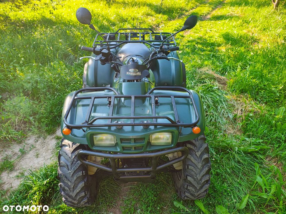 Kawasaki Brute Force - 10