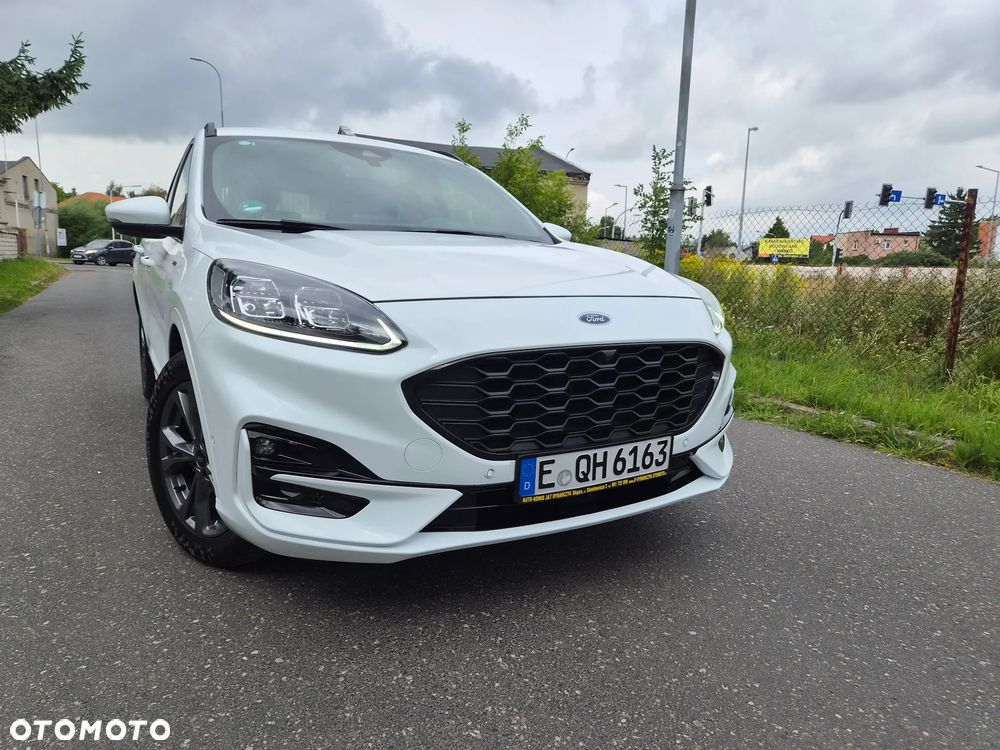 Ford Kuga 2.0 EcoBlue Hybrid ST-LINE - 2