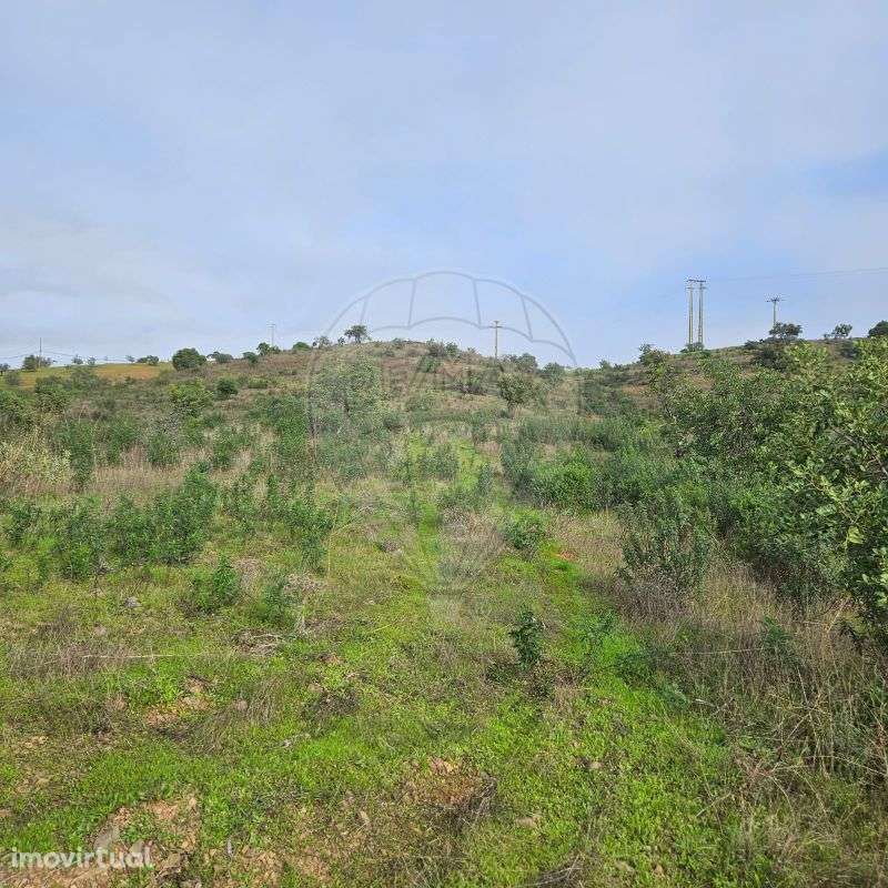 Terreno  para venda - Grande imagem: 4/19