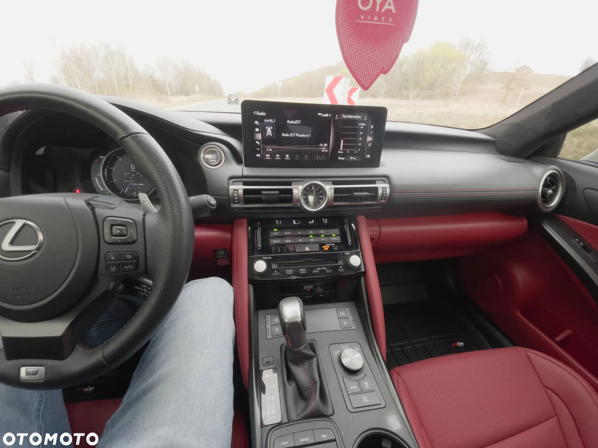 Lexus Inny - 17