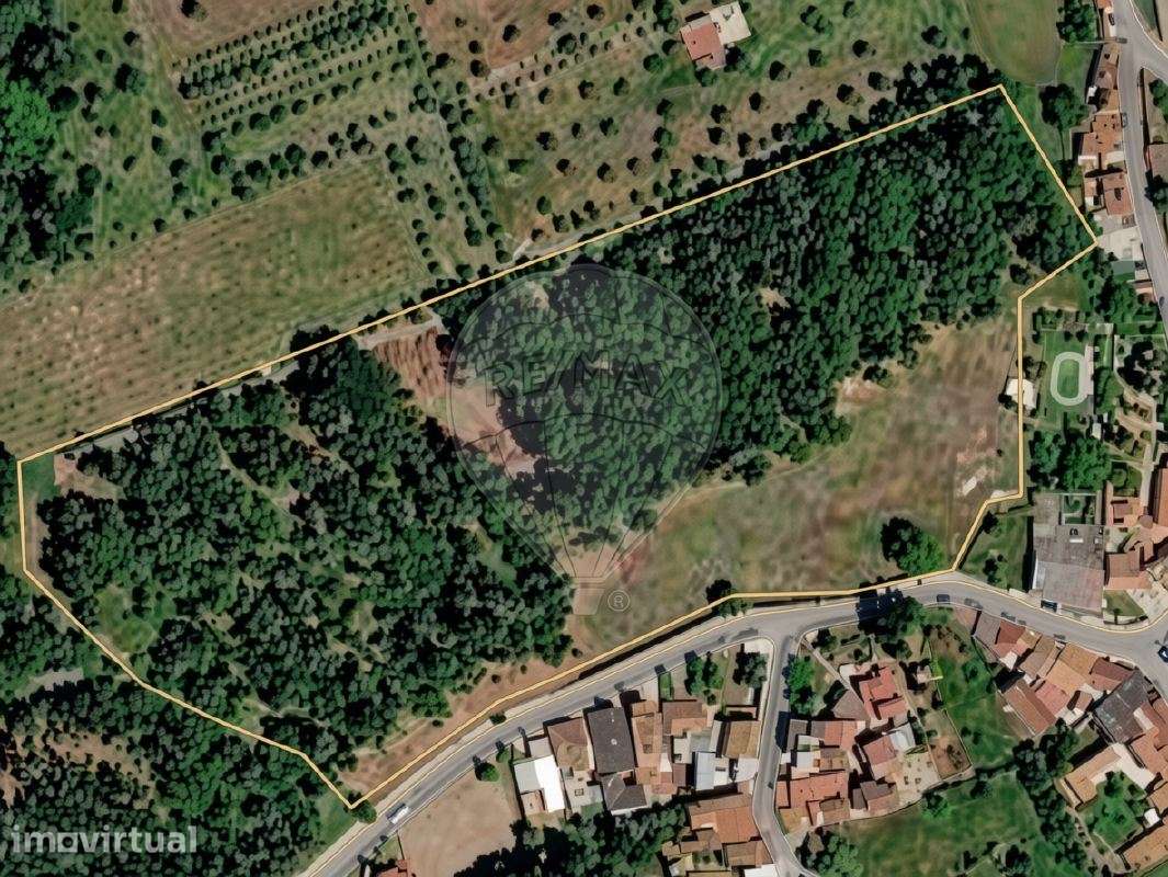 Terreno urbano de 27.340 m² em Ança, Cantanhede