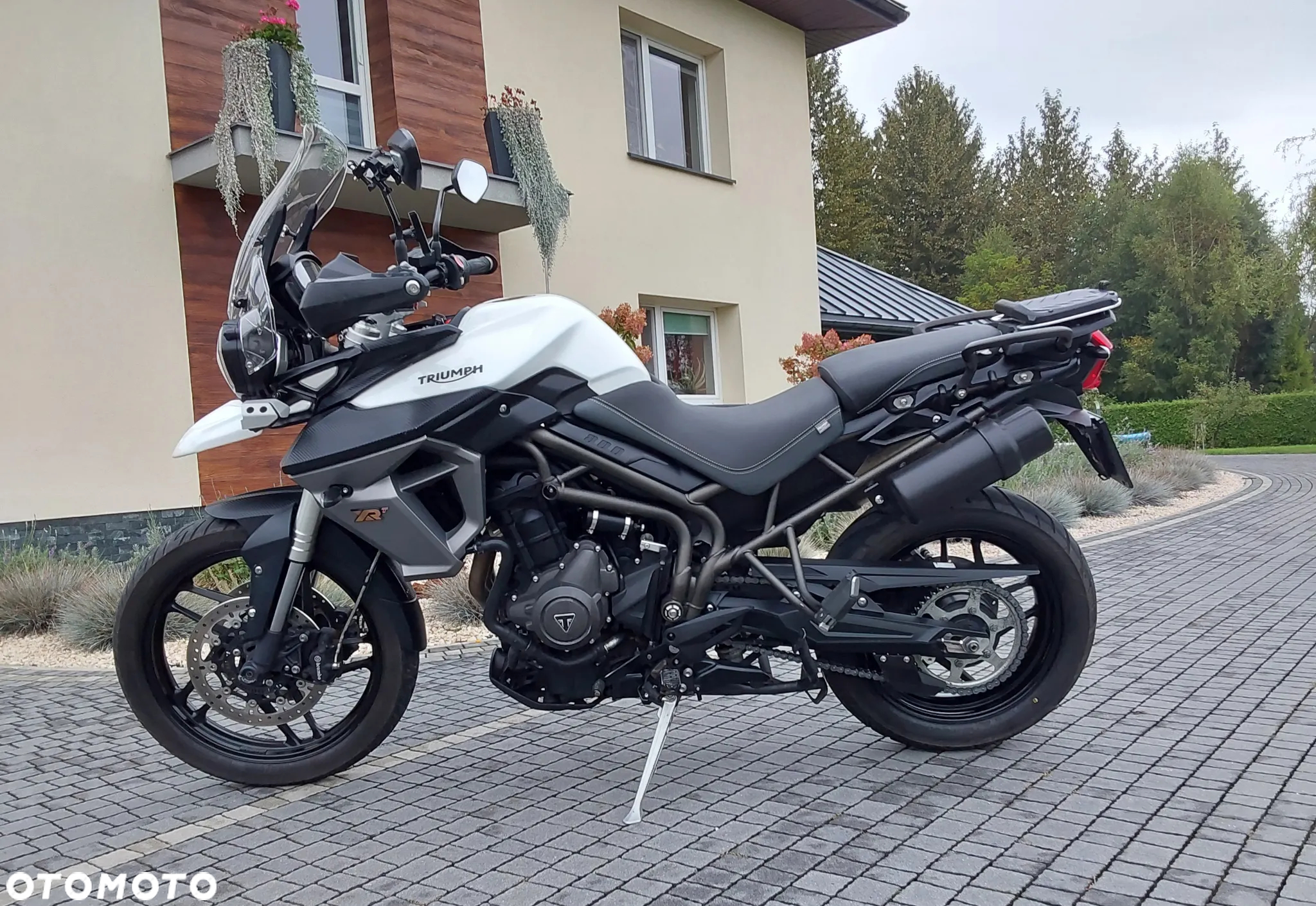 Triumph Tiger - 4