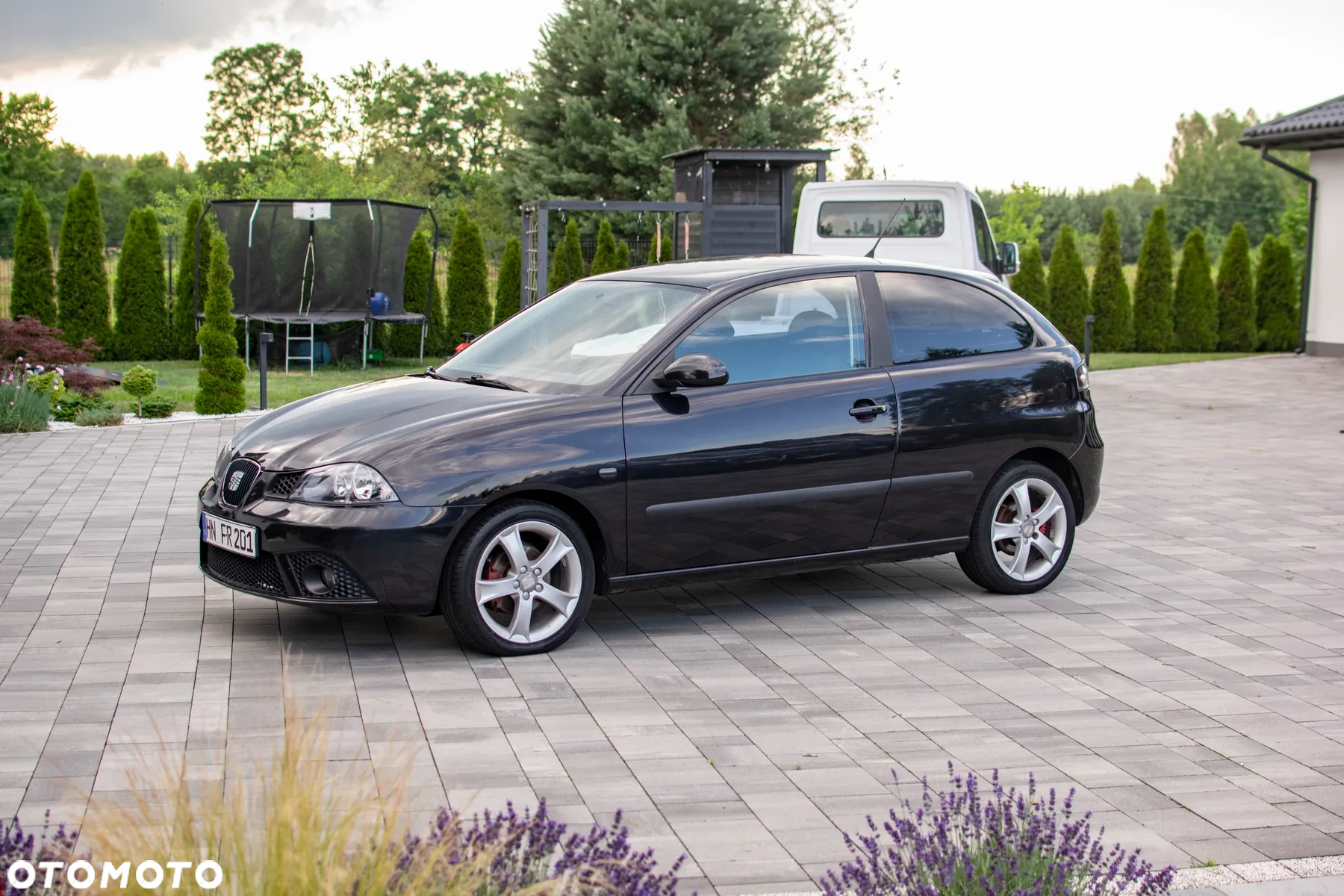 Seat Ibiza - 27