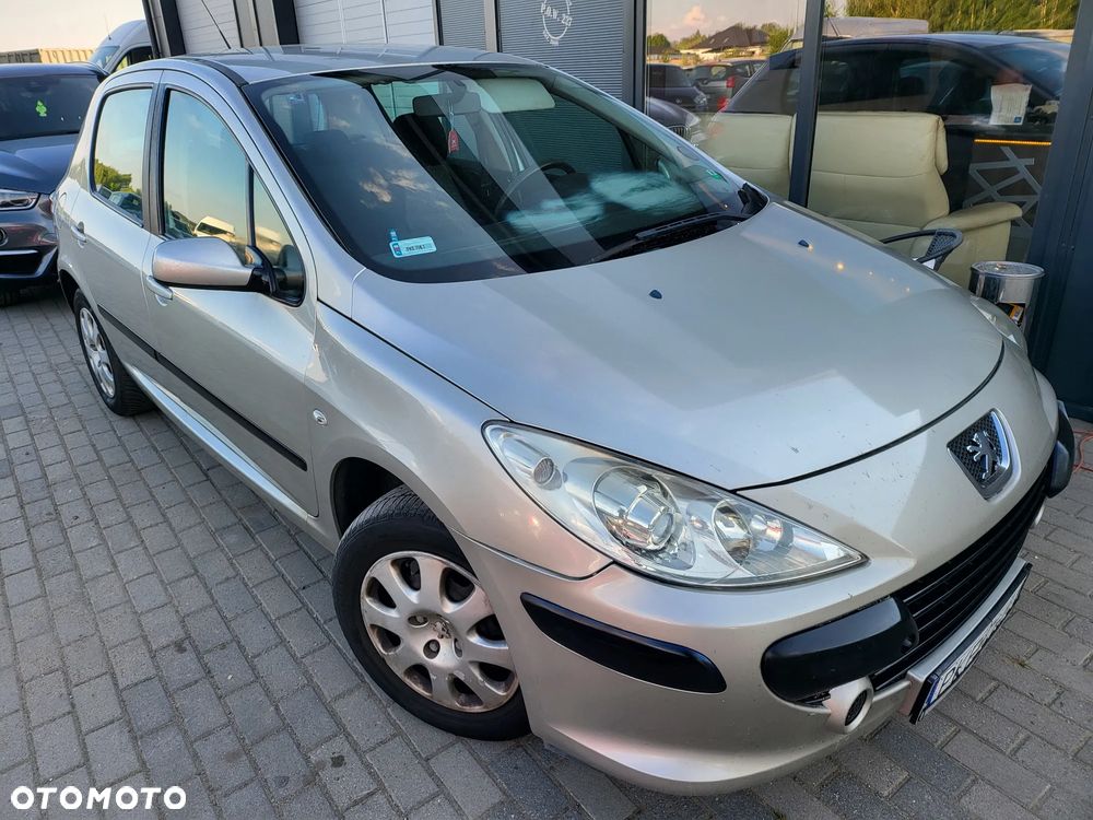 Peugeot 307 1.6 HDi - 17
