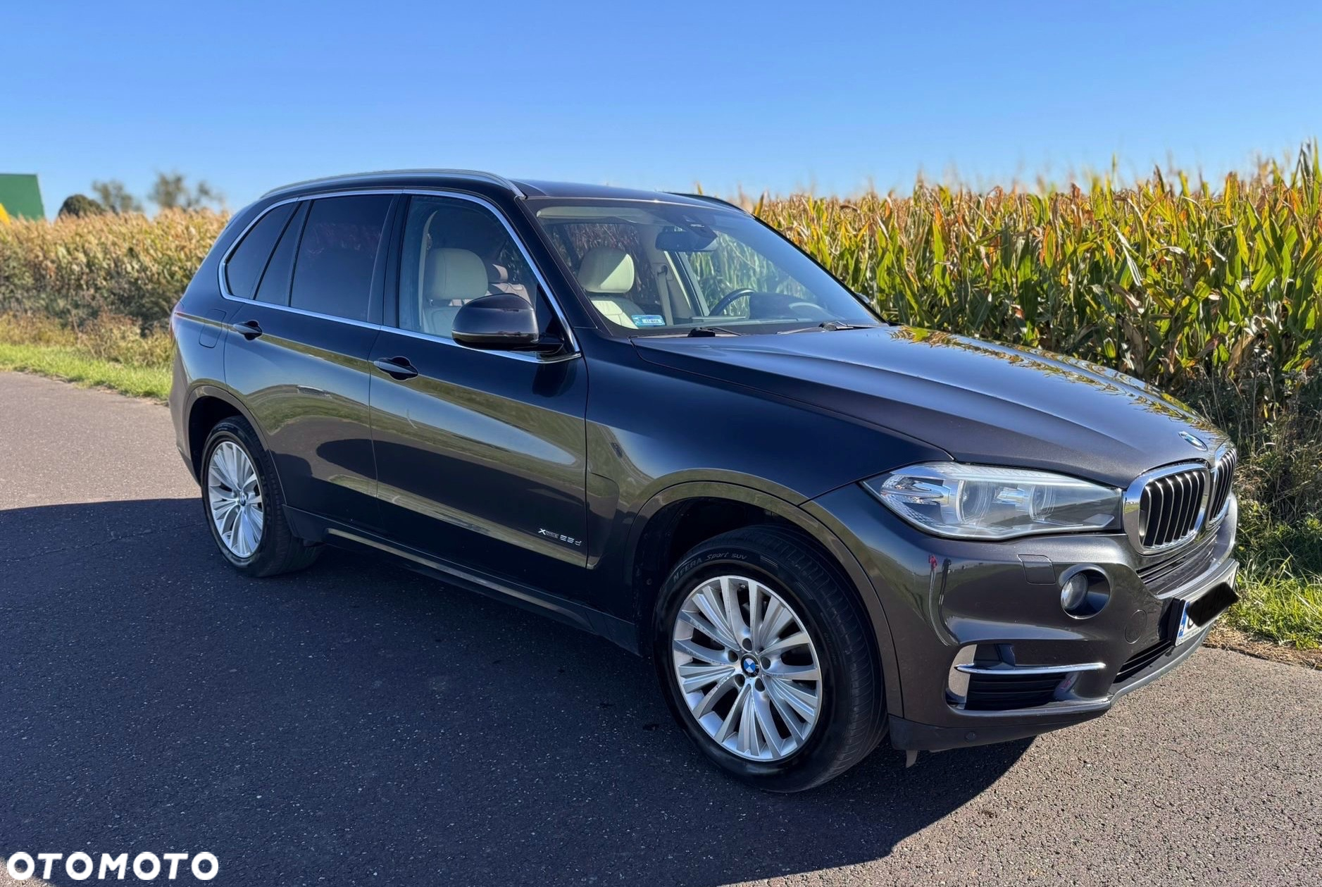 BMW X5 xDrive25d - 14