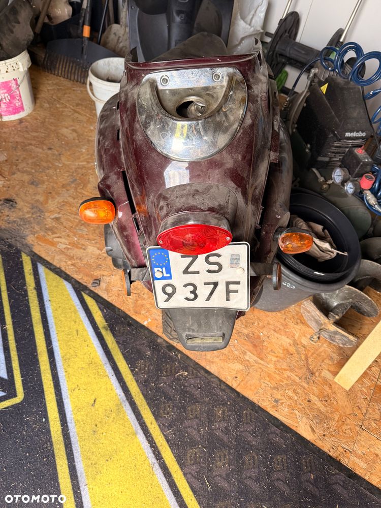Sachs B - 1