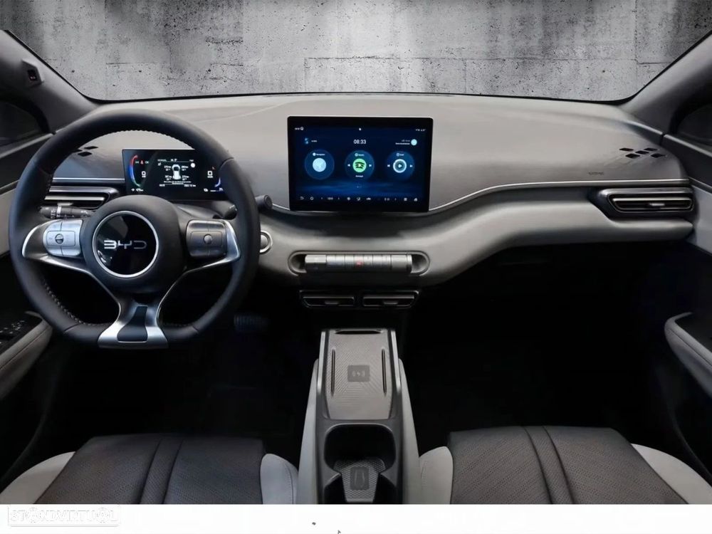 BYD Dolphin Surf - 10
