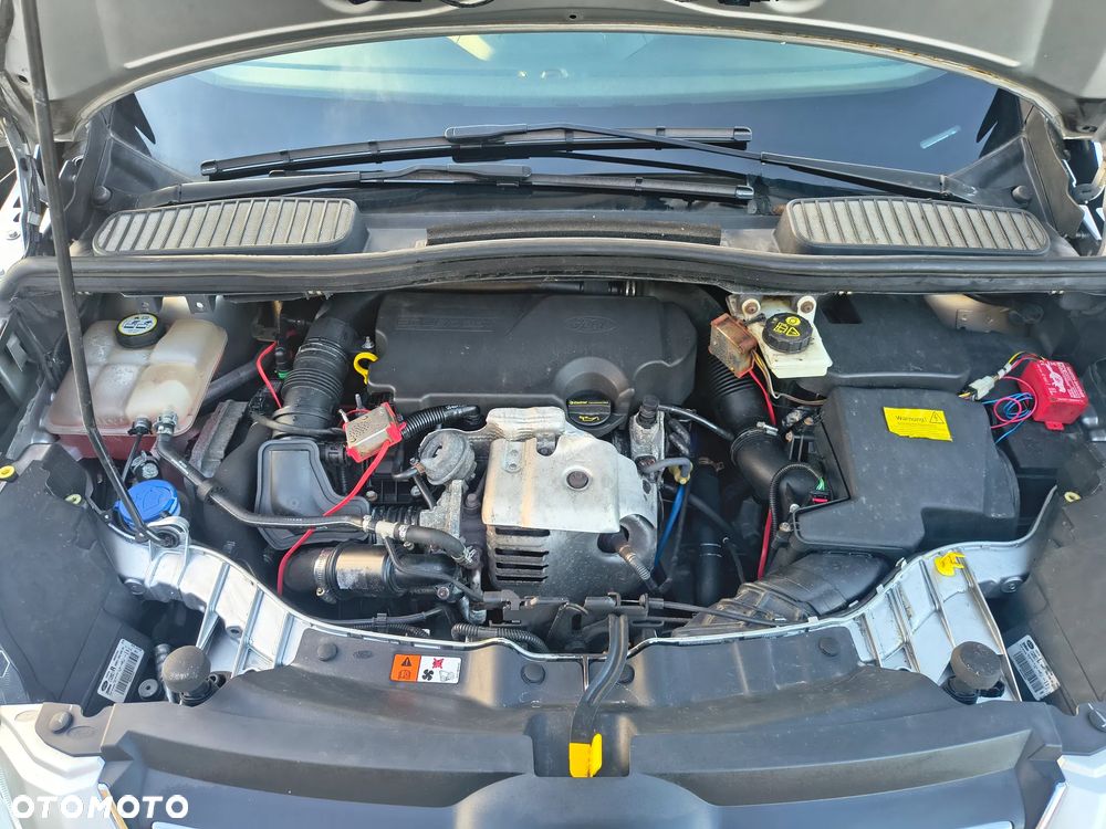 Ford C-MAX 1.0 EcoBoost Start-Stopp-System Champions Edition - 31