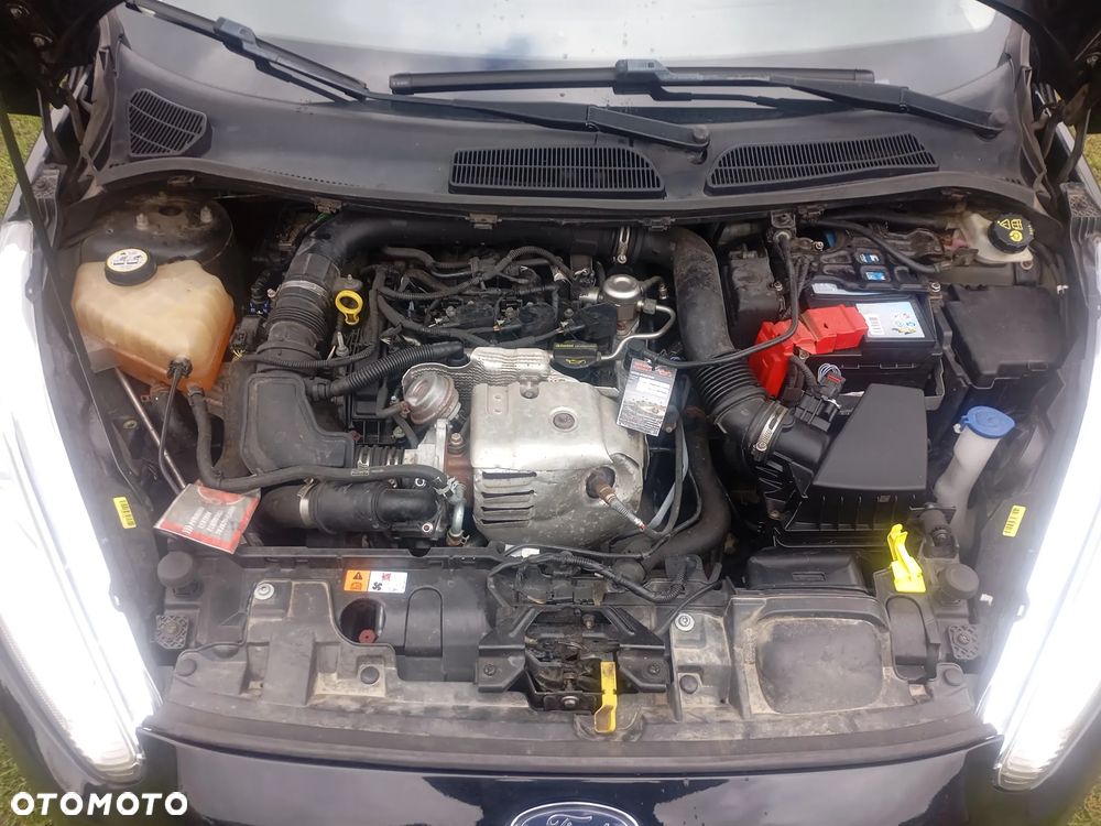 Ford Fiesta - 17