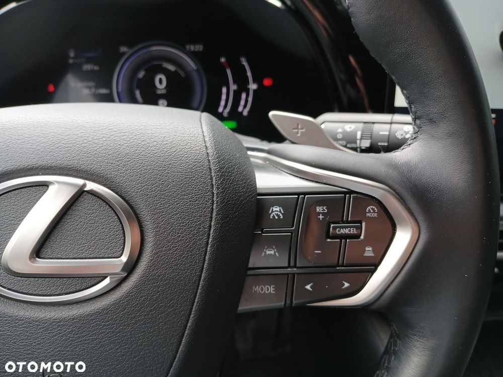 Lexus RX - 18